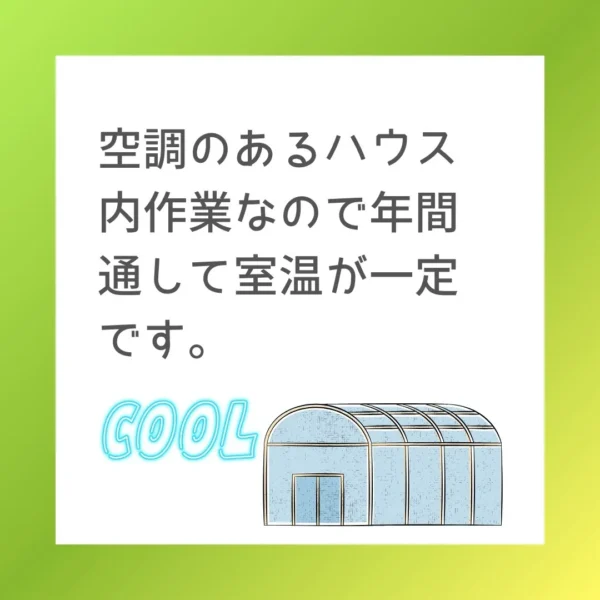 空調のあるハウス内作業なので年間通して室温が一定です。