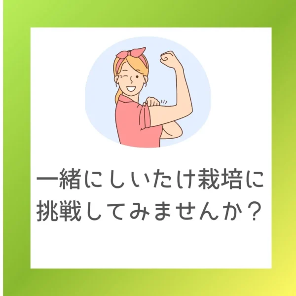 一緒にしいたけ栽培に挑戦してみませんか？