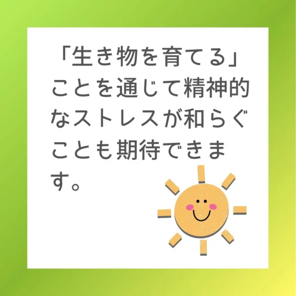 「生き物を育てる」ことを通じて精神的なストレスが和らぐことも期待できます。